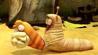 Larva: Popcorn