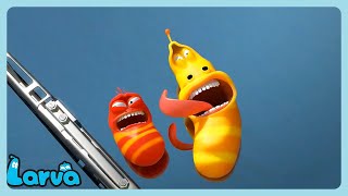 Larva: Promenade en voiture