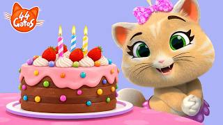 44 Gatos: Cumpleaños