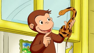 Jorge: Serpiente