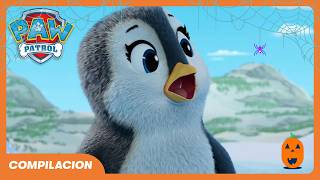 Paw Patrol: Salvan al Pingüino