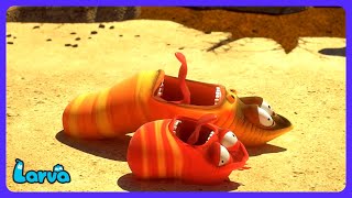 Larva: Qué Calor