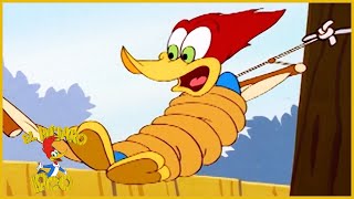 El Pájaro Loco: Hormigas