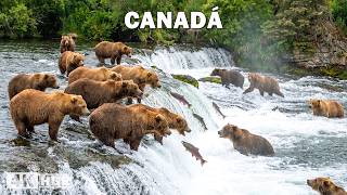 Un año en Canadá
