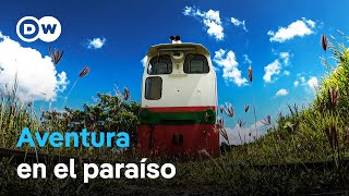 Caribe en tren