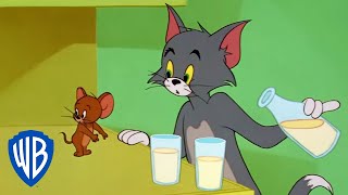 Tom & Jerry im Vollbildmodus