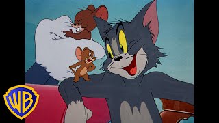Tom und jerry - von feinden zu freunden