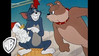 Épisode 22 — Tom et Jerry