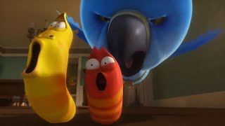 Épisode 17 — Bienvenue Larva!