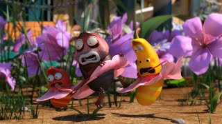 Épisode 15 — Cancan! - Larva