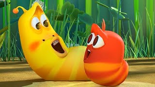 Épisode 35 — Larva - Le Début