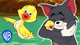 Épisode 21 — Les Meilleurs Moments du petit canard