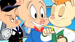 Épisode 2 — Looney tunes - le meilleur de porky pig