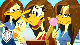 Épisode 4 — Looney tunes - la tina russo