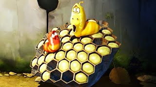Épisode 26 — Larva - abeille à miel