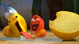 Episodio 52 — Larva | Fruta Ácida