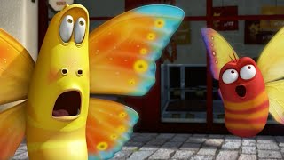 Episodio 10 — Larva - La Mariposa
